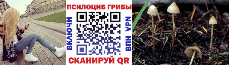 Галлюциногенные грибы Magic Shrooms  Губкин 